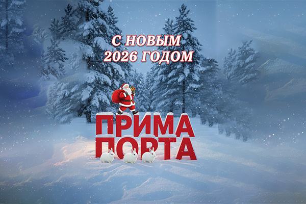 С наступившим НОВЫМ ГОДОМ!